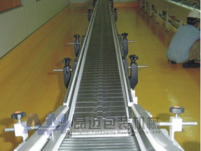 Ceiling chain conveyor